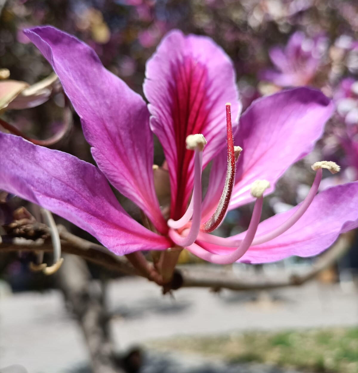 espacio grupal de terapia Grupo terapéutico trabajando la regulación emocional